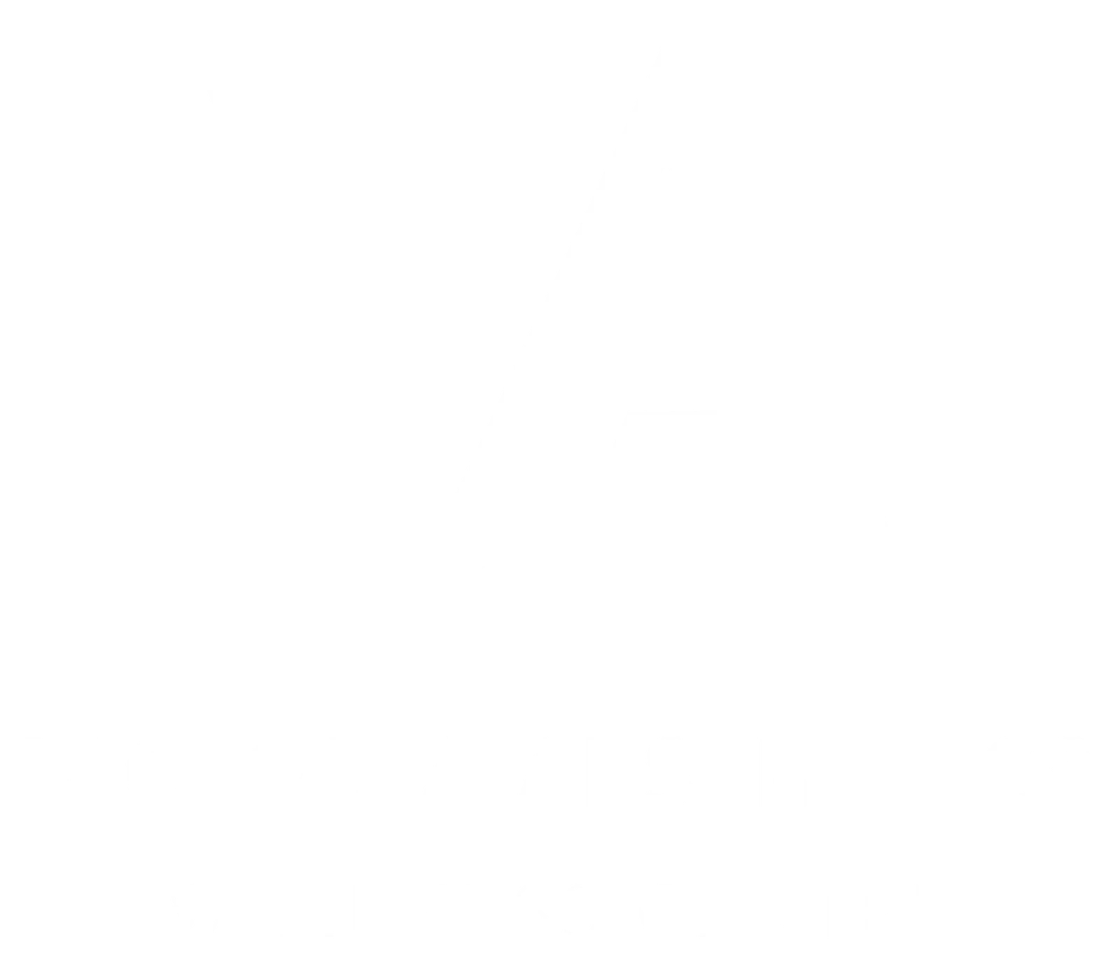 Logo Victoria Aesthetics Wellness Center in Seychelles