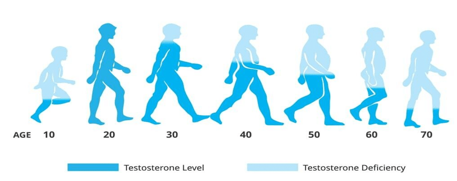 Testosterone Hormone Levels decreasing with age