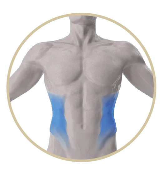 Diagram to define the oblique muscles and waistDiagram to define the oblique muscles and waist